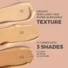 Concealer UPGRADED 240923 6.webp